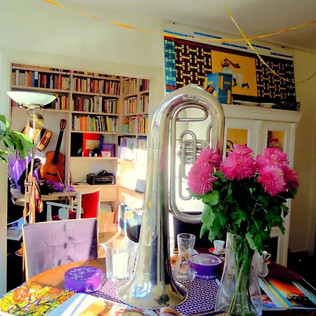 Missortelia B&B-3